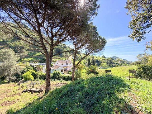 Villa / Chalet de lujo en venta Casares, Andalucía
