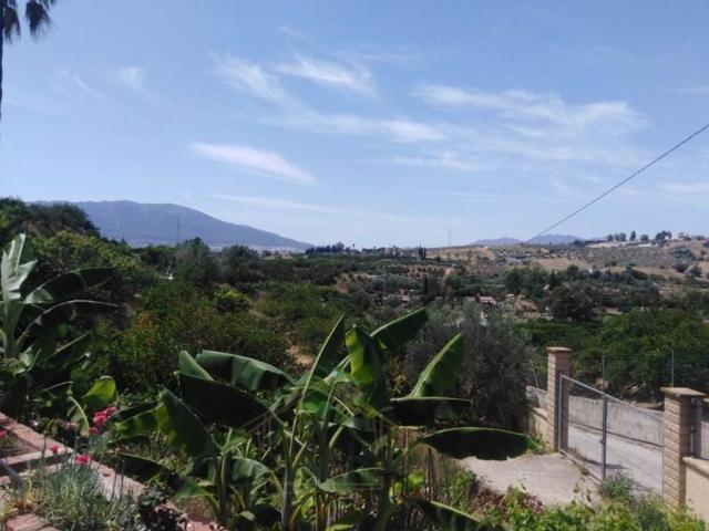 Villa / Chalet de lujo en venta Cártama, Andalucía