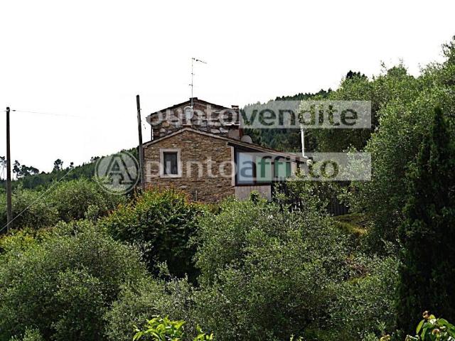 Villa con giardino, Capannori pieve di compito