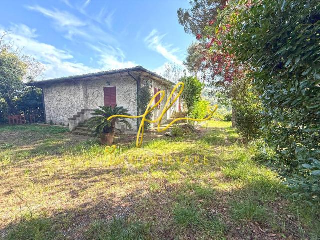 Villa con giardino a Montescudaio
