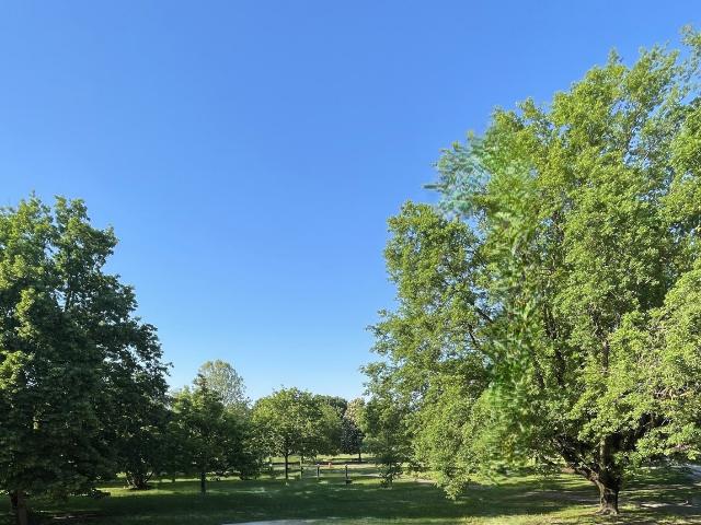 Villa con giardino a Modena