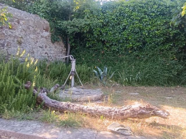 Villa con giardino a Sesto Fiorentino