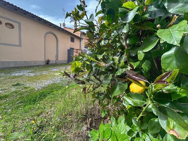 Villa con giardino, Livorno porta a mare