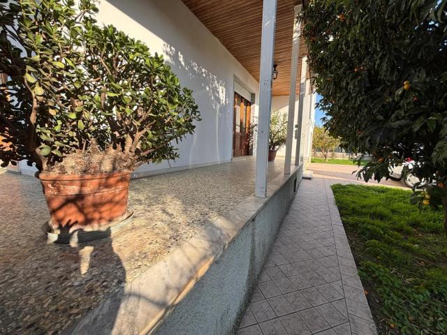 Villa con giardino, Massa marina di