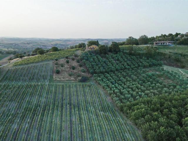 Villa con struttura in legno antisismica con piscina 310m² Serra de' Conti