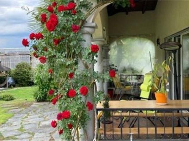 Villa da favola alla periferia di Monteggio Anche come casa secondaria | dreamo. Ch