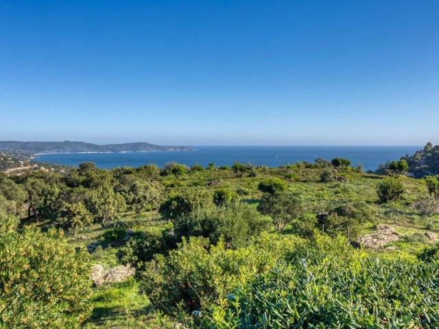 Villa de 4 chambres de luxe en vente Cavalaire sur Mer, France