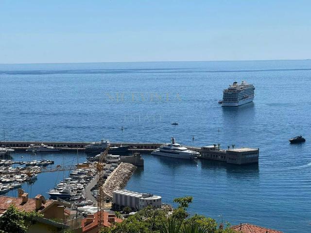Villa de luxe de 4 pièces en location Cap d'Ail, Provence Alpes Côte d'Azur