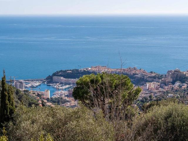 Villa de 4 pièces de luxe en vente La Turbie, France
