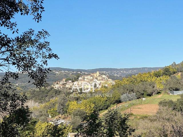 Villa de 4 pièces de luxe en vente Pégomas, Provence Alpes Côte d'Azur