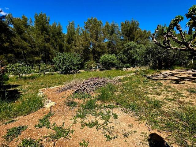 Villa de 4 pièces de luxe en vente Toulon, Provence Alpes Côte d'Azur