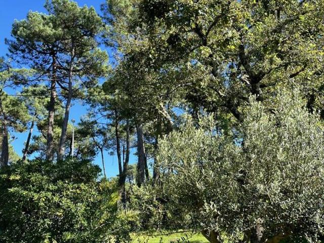 Villa de 5 pièces de luxe en vente Anglet, Nouvelle Aquitaine
