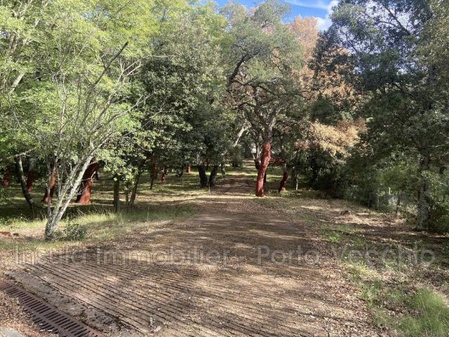 Villa de 5 pièces de luxe en vente Porto Vecchio, Corse