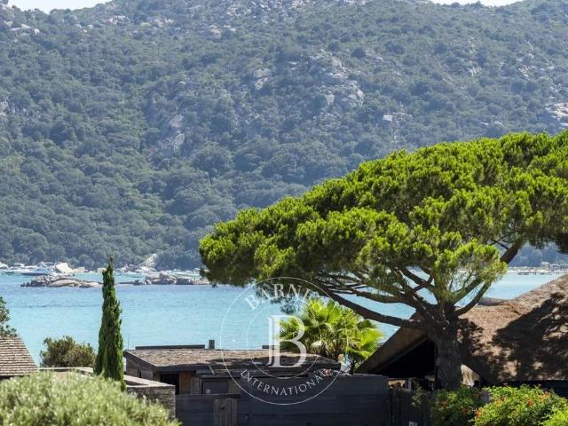 Villa de luxe de 5 pièces en vente Porto Vecchio, France