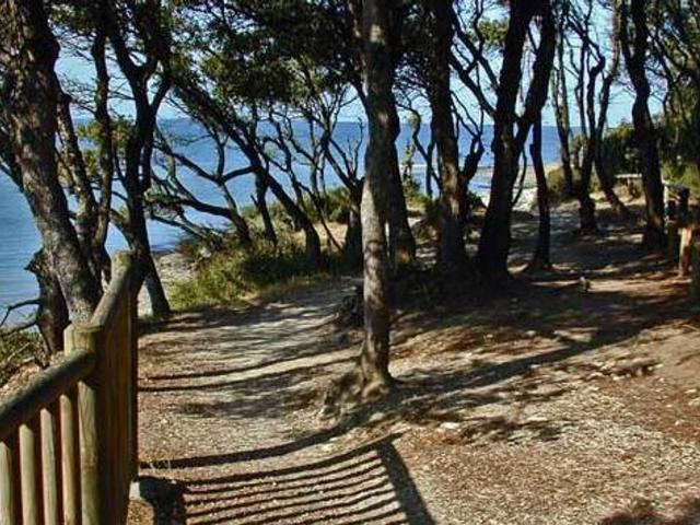 Villa de 5 pièces de luxe en vente Vaux sur Mer, Nouvelle Aquitaine