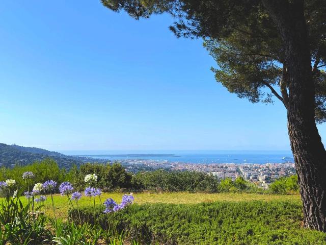 Villa de 6 chambres de luxe en vente Le Cannet, Provence Alpes Côte d'Azur