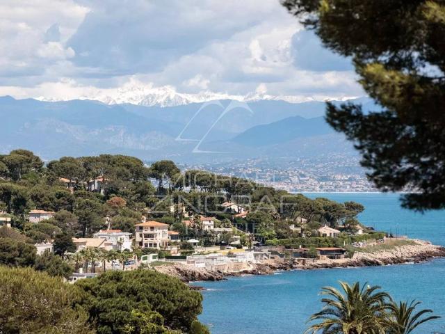 Villa de 6 pièces de luxe en vente Antibes, Provence Alpes Côte d'Azur