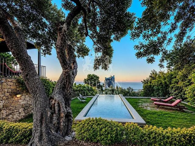 Villa de 6 pièces de luxe en vente Beausoleil, Provence Alpes Côte d'Azur