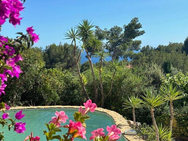 Villa de 7 pièces de luxe en vente Bandol, France