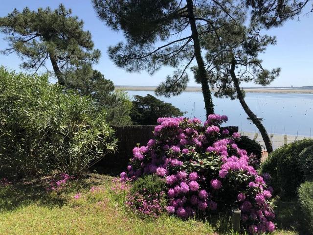 Villa de 7 pièces de luxe en vente Lège Cap Ferret, Nouvelle Aquitaine