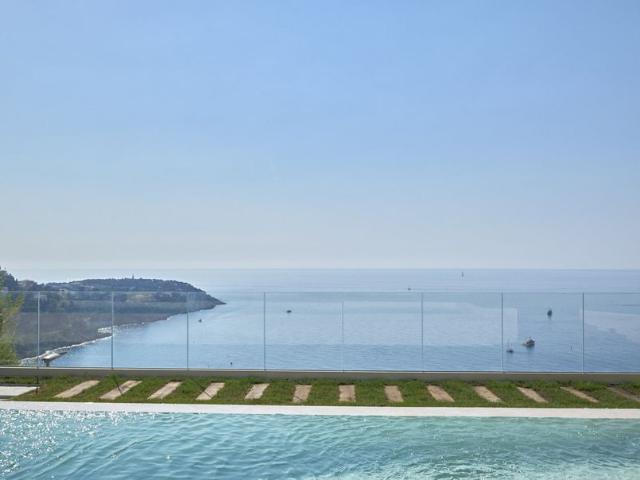 Villa de 7 pièces de luxe en vente Roquebrune Cap Martin, France