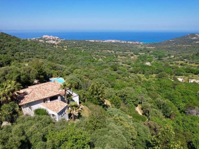 Villa de 8 pièces de luxe en vente Monticello, Corse