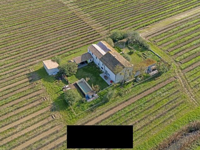 Villa de 8 pièces de luxe en vente Aigues Mortes, France