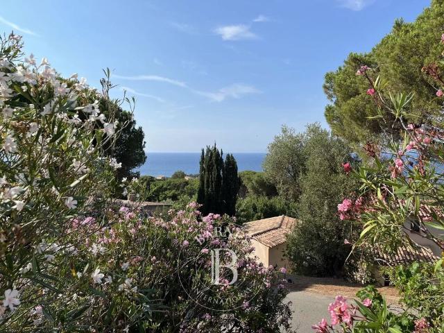 Villa de 8 pièces de luxe en vente Corbara, France