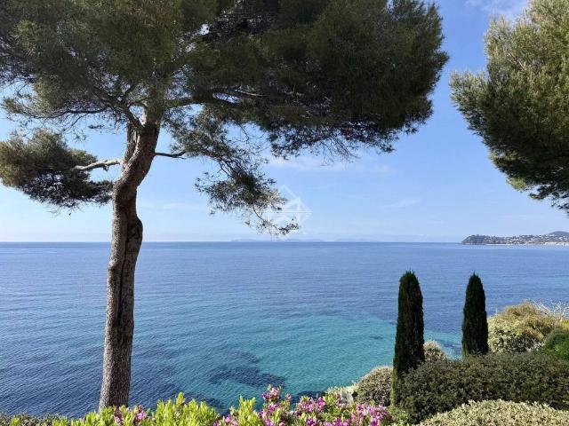 Villa de 10 pièces de luxe en vente La Croix Valmer, France