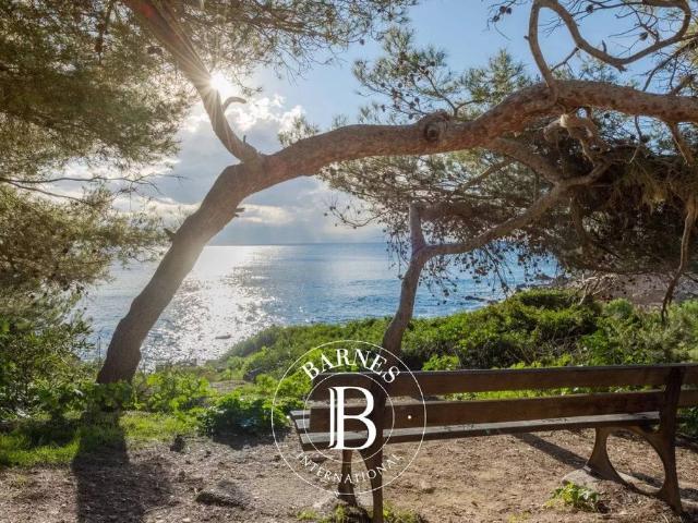 Villa de 10 pièces de luxe en vente La Seyne sur Mer, France