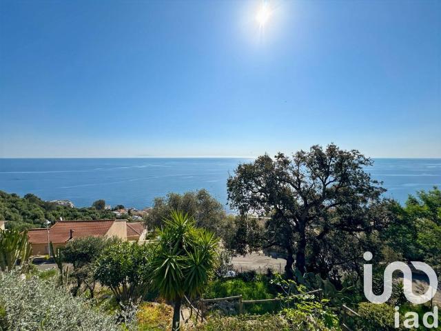 Villa de 10 pièces de luxe en vente San Martino di Lota, Corse