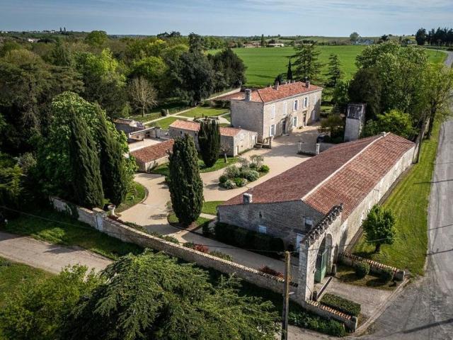 Villa de 12 pièces de luxe en vente Fontenay le Comte, France