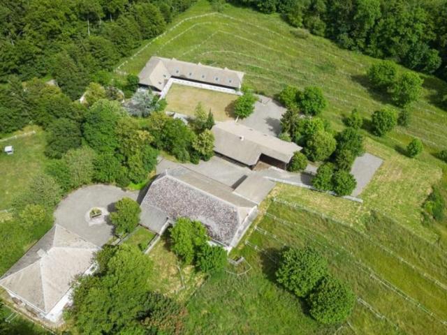 Villa de 20 pièces de luxe en vente Annecy, Auvergne Rhône Alpes