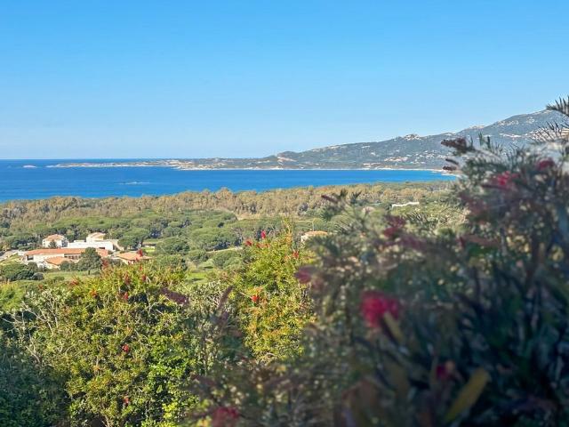 Villa de 20 pièces de luxe en vente Calvi, Corse