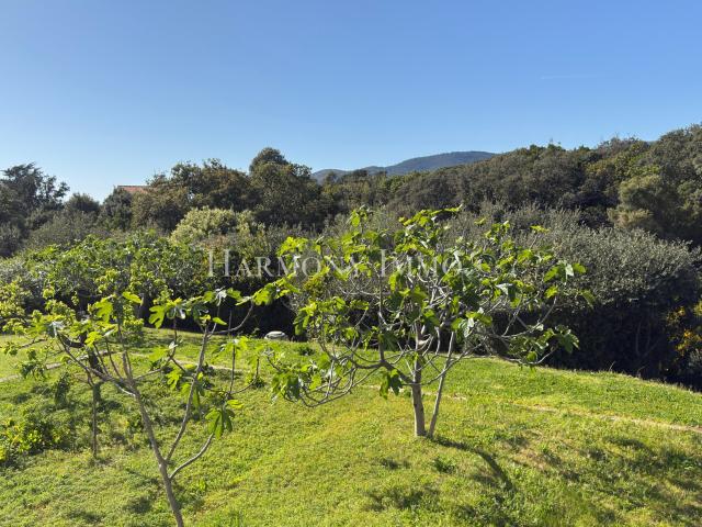 Villa de caractère avec vue mer au calme & terrain plat. 233m² Sagone