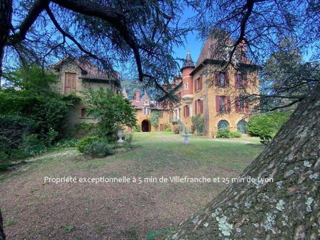 Villa de luxe de 15 pièces en vente Gleizé, France