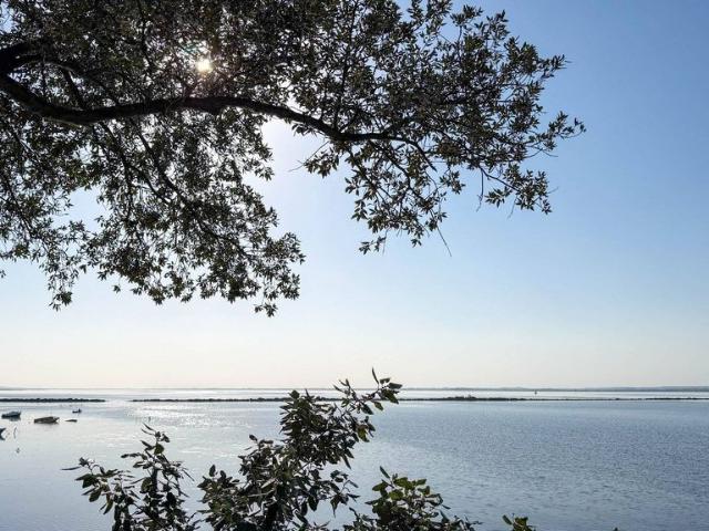 Villa de luxe de 10 pièces en vente Sète, France