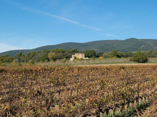 Villa de luxe de 12 pièces en vente Cucuron, France
