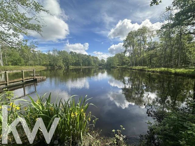 Villa de luxe de 12 pièces en vente La Ferté Saint Cyr, Centre
