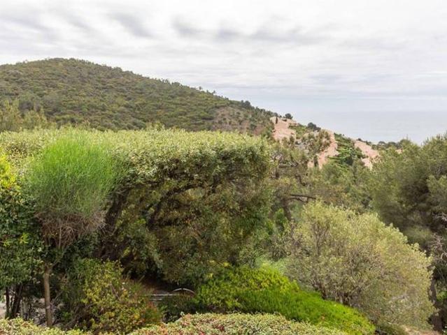 Villa de luxe de 4 pièces en vente Route du Belvédère, 52, Saint Jurs, Provence Alpes Côte d'Azur