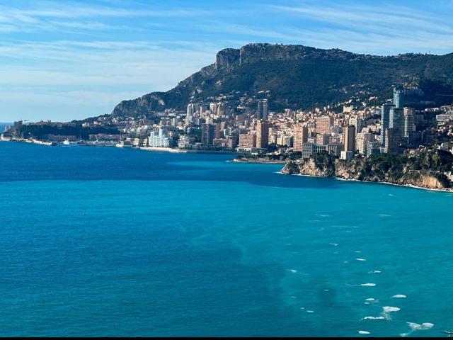 Villa de luxe de 5 chambres en vente Roquebrune Cap Martin, France
