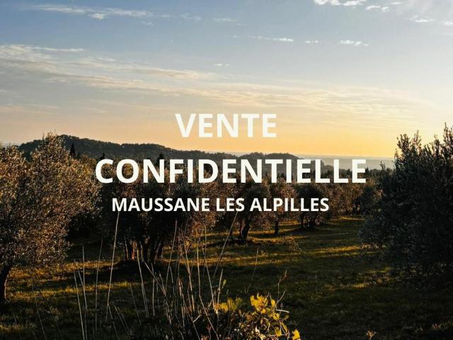 Villa de luxe de 5 pièces en vente Maussane, France