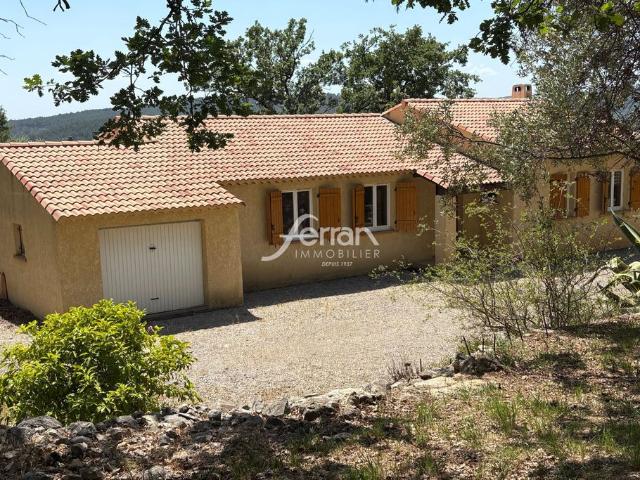 Villa de luxe de 5 pièces en vente Callas, France