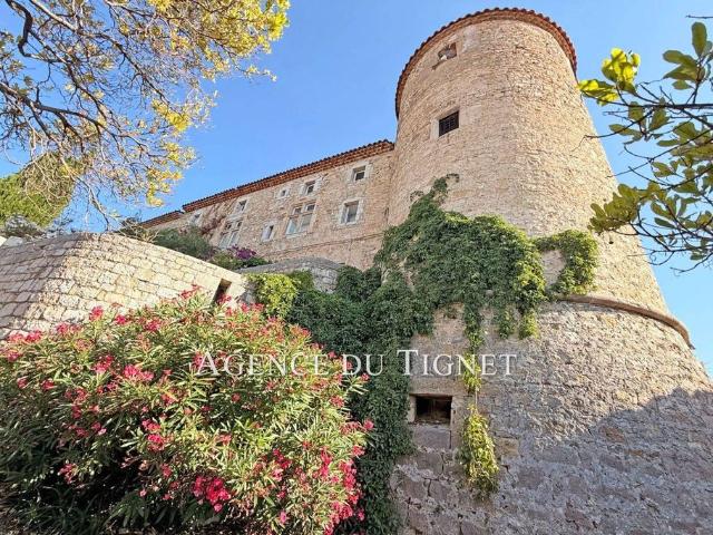 Villa de luxe de 5 pièces en vente Callian, Provence Alpes Côte d'Azur