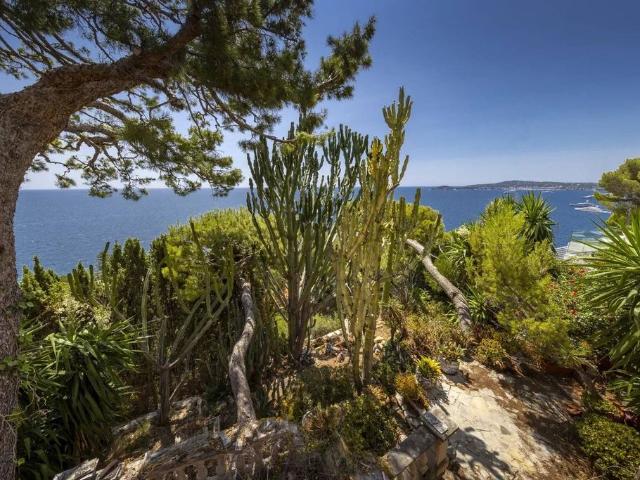 Villa de luxe de 5 pièces en vente Èze, Provence Alpes Côte d'Azur