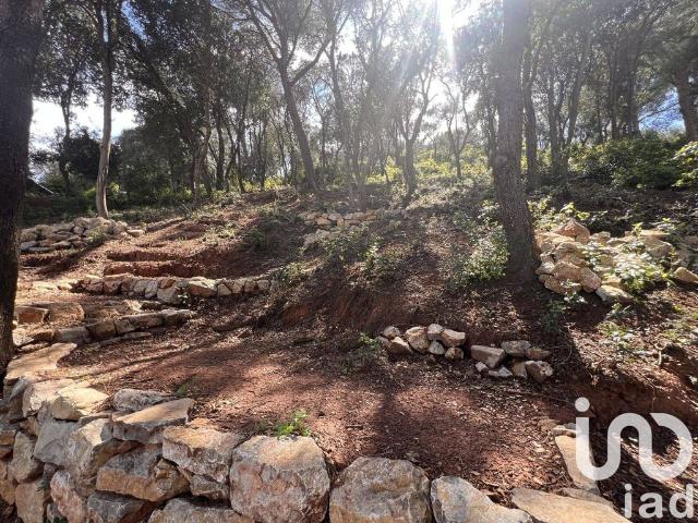 Villa de luxe de 5 pièces en vente La Seyne sur Mer, Provence Alpes Côte d'Azur