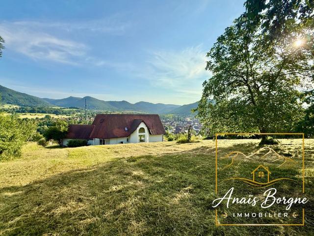 Villa de luxe de 5 pièces en vente Villey le Sec, France