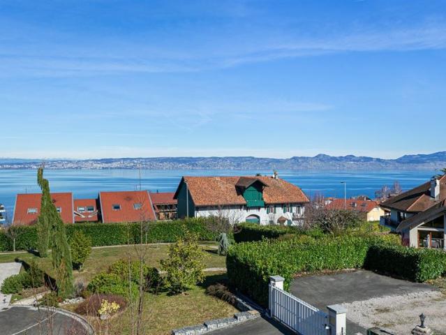 Villa de luxe de 6 pièces en vente Neuvecelle, France