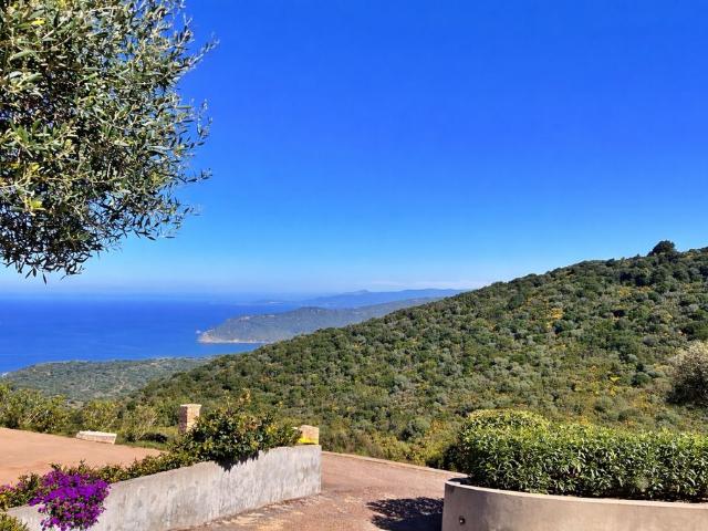 Villa de luxe de 6 pièces en vente Ajaccio, Corse