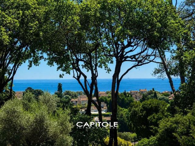 Villa de luxe de 6 pièces en vente Antibes, Provence Alpes Côte d'Azur